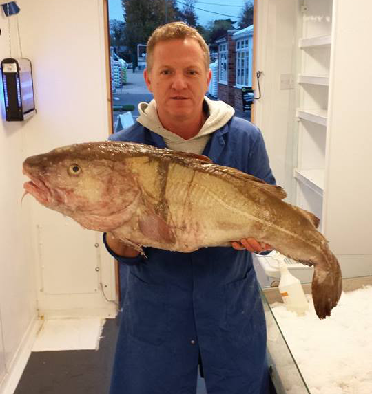 Fishgloriousfish paul wheston the fish man