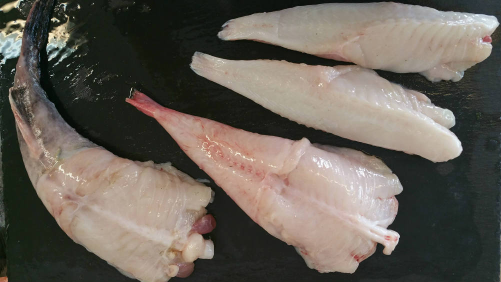 Monkfish Tails 1 Monkfish Tails